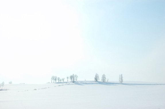 写真：冬の景色